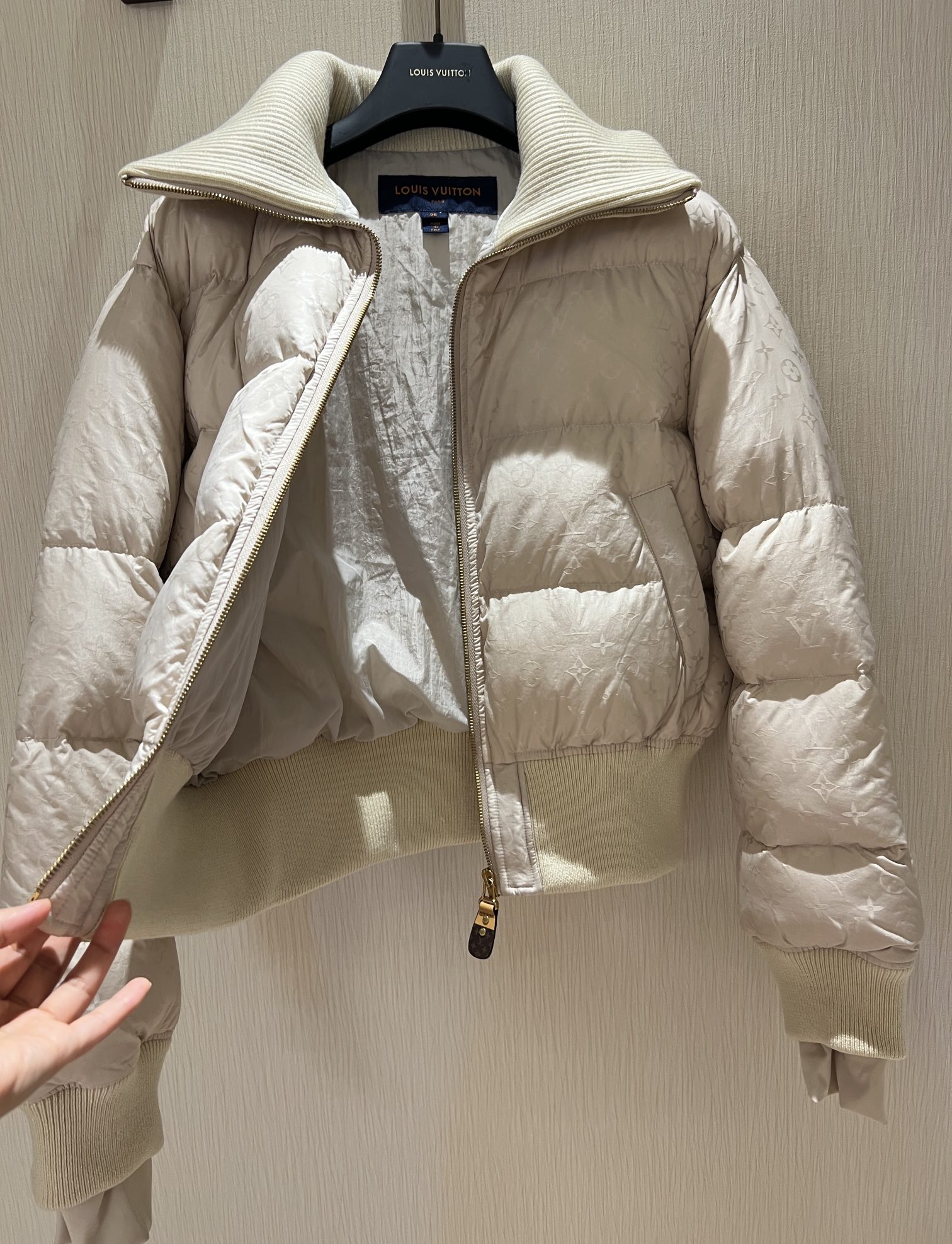 Louis Vuitton Down Jackets